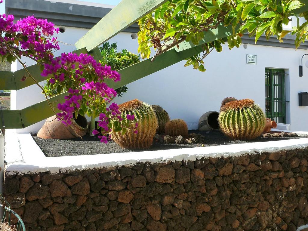 Apartamentos Guacimeta Matagorda  Екстериор снимка